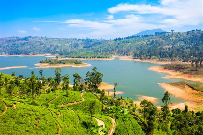 Sri Lanka - im Reich des Ceylon-Tees © saiko3p /adobestock